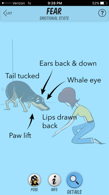 Decoding Your Dog’s Paw Lift: What It Reveals About Their Body Language