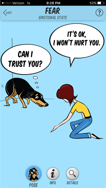Decoding Your Dog’s Paw Lift: What It Reveals About Their Body Language