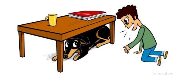 Decoding Your Dog’s Paw Lift: What It Reveals About Their Body Language