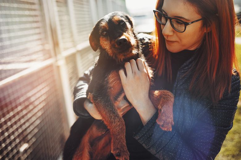 Puppy Mills Exposed: Protecting Pets and Consumers