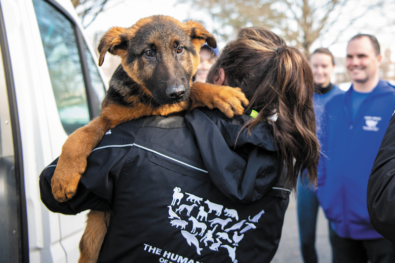Puppy Mills Exposed: Protecting Pets and Consumers
