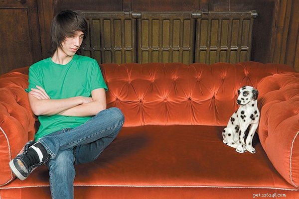 Top 5 Puppy Behavior Issues & Proven Solutions