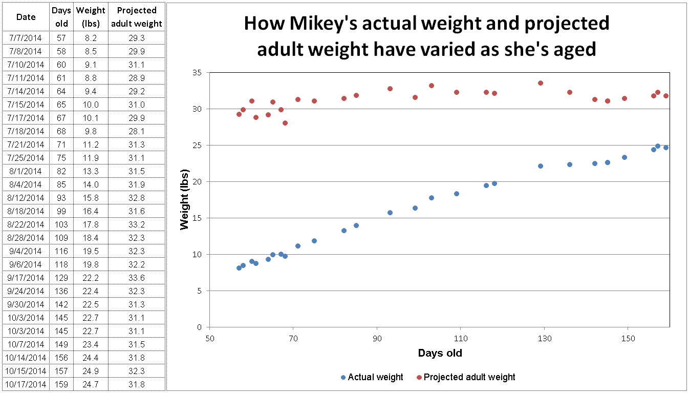 How Big Will My Puppy Grow? Accurate Predictions for Adult Dog Size