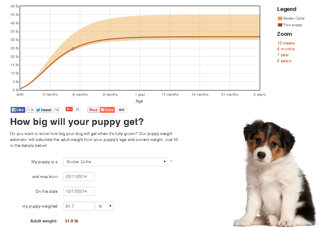 How Big Will My Puppy Grow? Accurate Predictions for Adult Dog Size