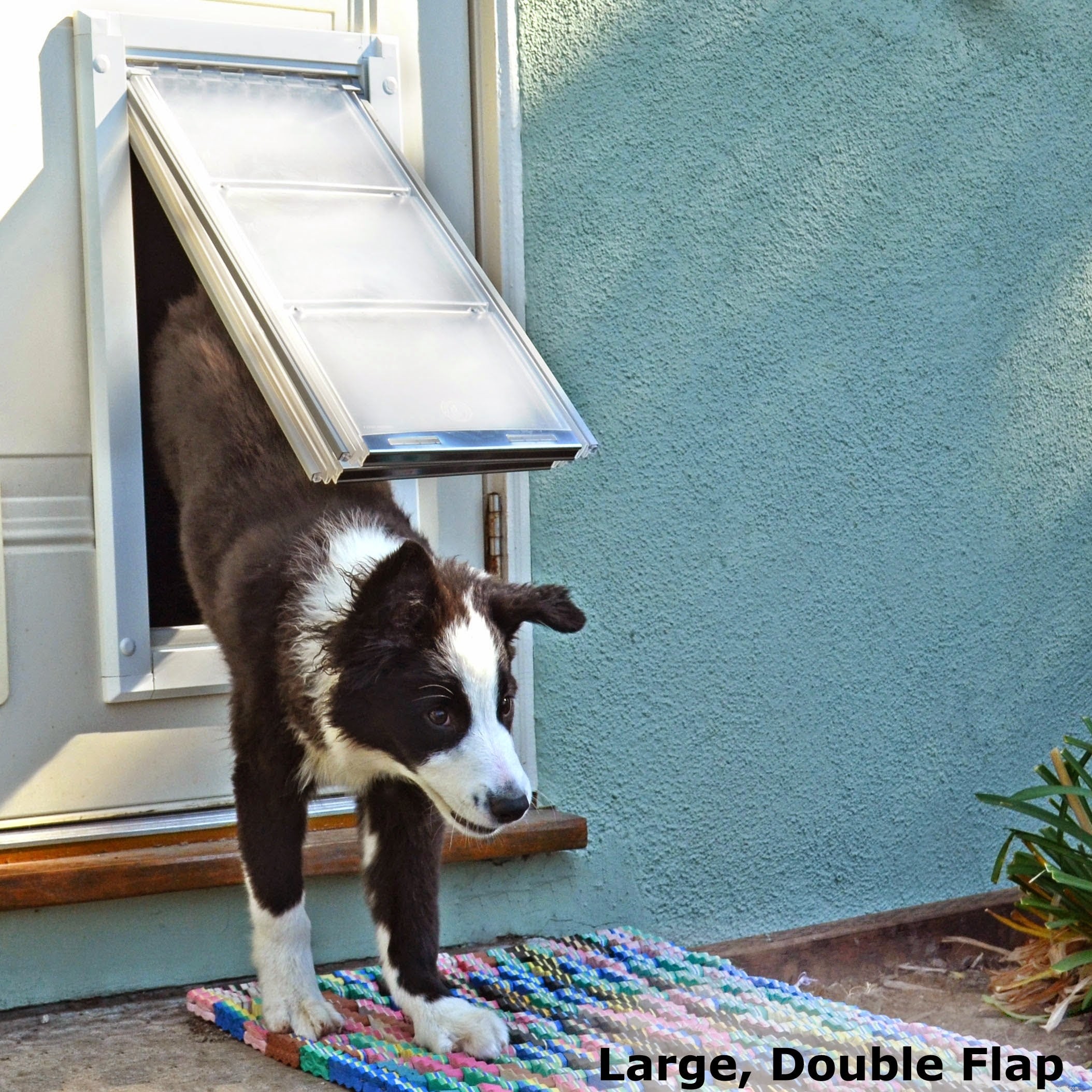 3 Key Reasons Your Pet Won’t Use Your Pet Door (And How to Fix It)
