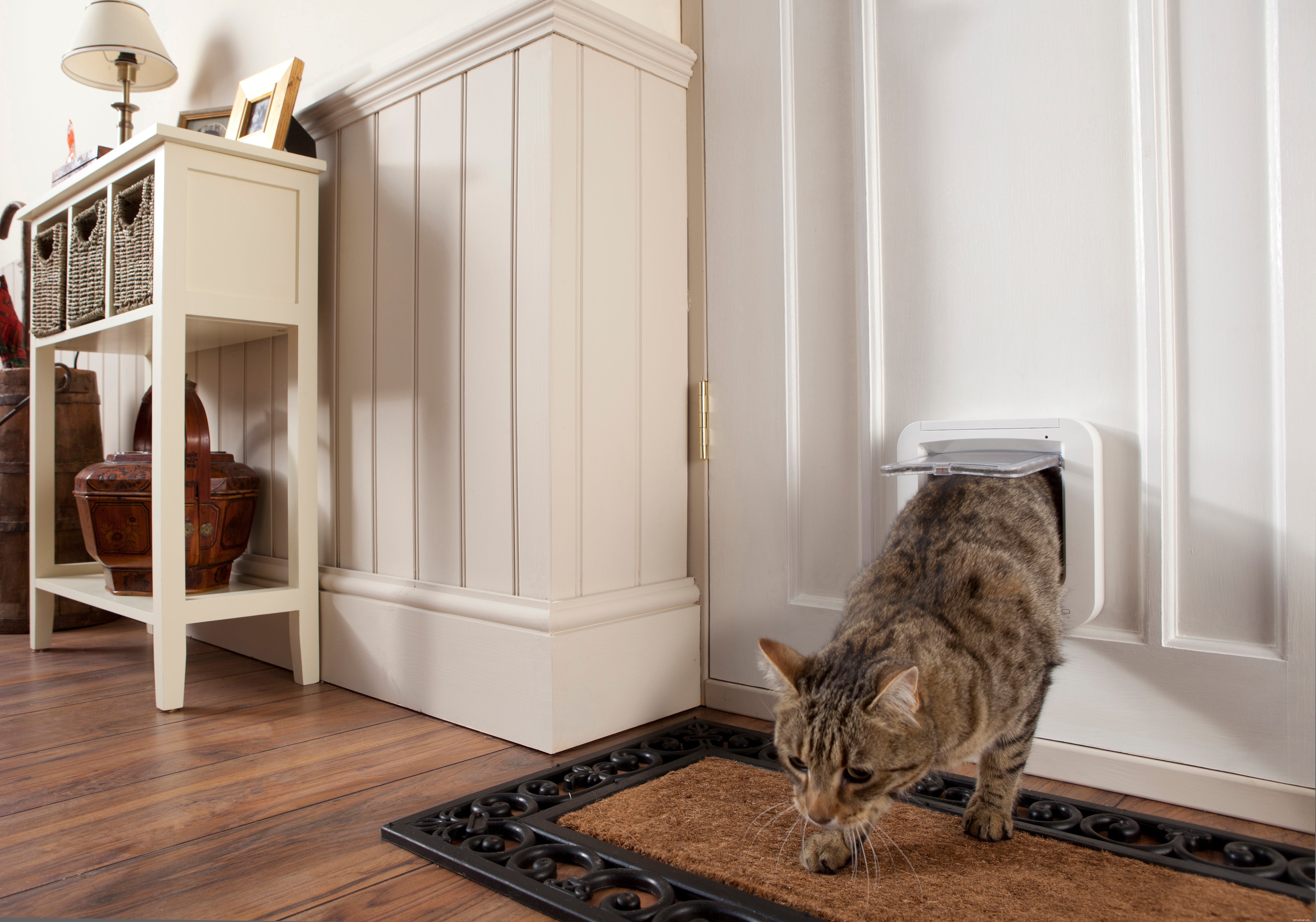 3 Key Reasons Your Pet Won’t Use Your Pet Door (And How to Fix It)