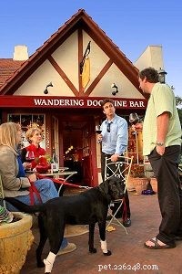 Top Dog-Friendly Spots on the Central Coast for Your Weekend Getaway