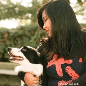 Find Your Perfect Dog Breed Using Your MBTI Personality