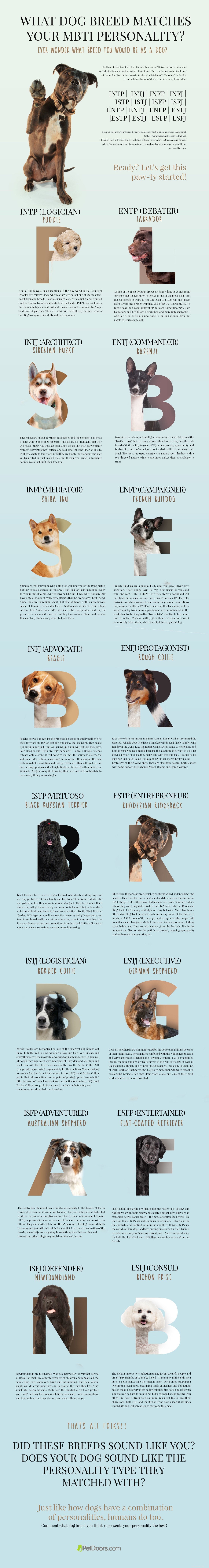 Find Your Perfect Dog Breed Using Your MBTI Personality
