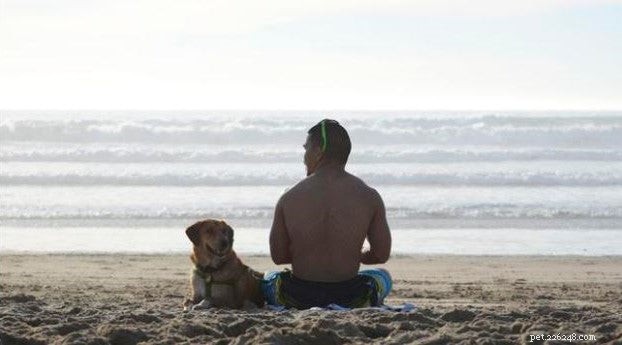 Adopt vs. Buy: 5 Reasons Choosing a Shelter Dog Wins