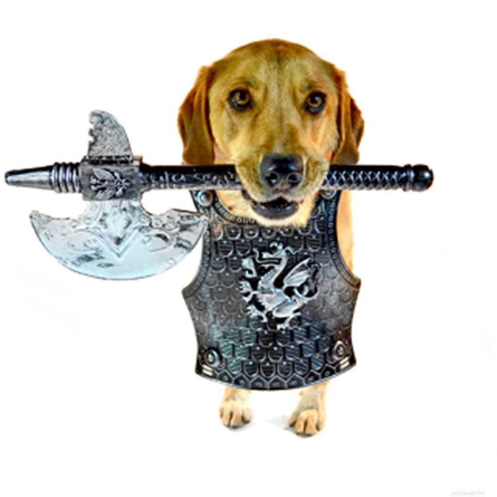 Game of Thrones Characters as Dogs: A Playful Tribute