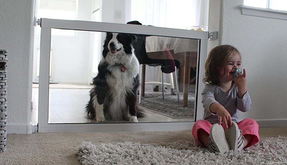 ClearVis Pet Gate vs. Top Safety Gates: Which One Protects Your Home Best?