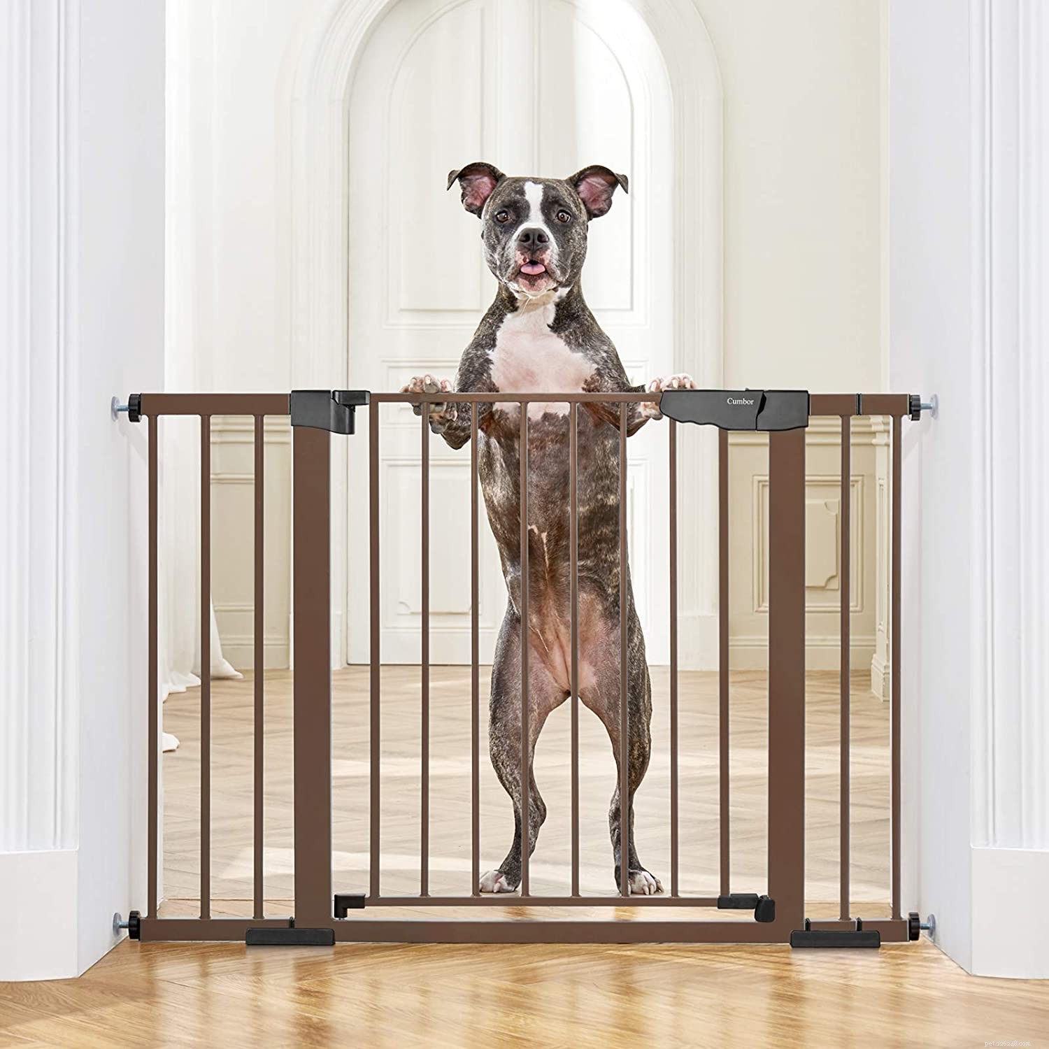 ClearVis Pet Gate vs. Top Safety Gates: Which One Protects Your Home Best?