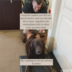 Explore the Best Dog Memes for Instant Laughter