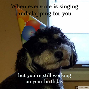 Explore the Best Dog Memes for Instant Laughter