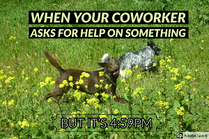 Explore the Best Dog Memes for Instant Laughter