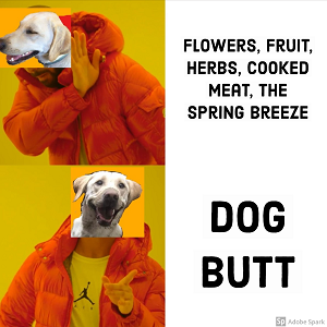 Explore the Best Dog Memes for Instant Laughter