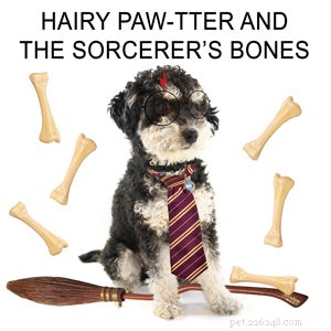 Explore the Best Dog Memes for Instant Laughter