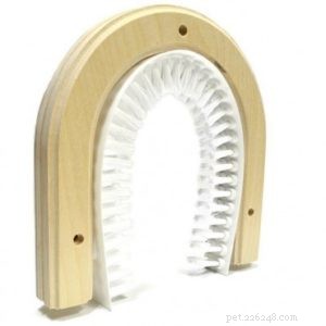Essential Cat Holes: Why Every Home Needs a Pet Door