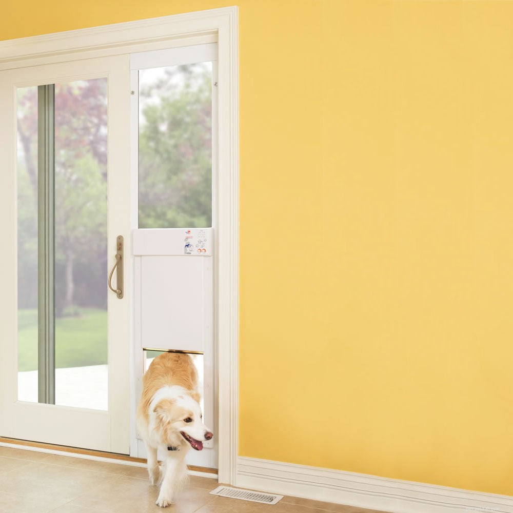 Top Cat-Proof Dog Doors: Secure Indoor-Only Access for Cats