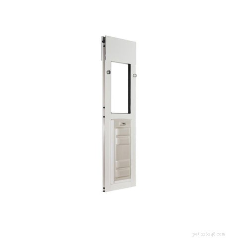 Top 2021 Cat Doors: Expert Picks for Your Feline Companion