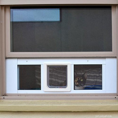 Top 2021 Cat Doors: Expert Picks for Your Feline Companion