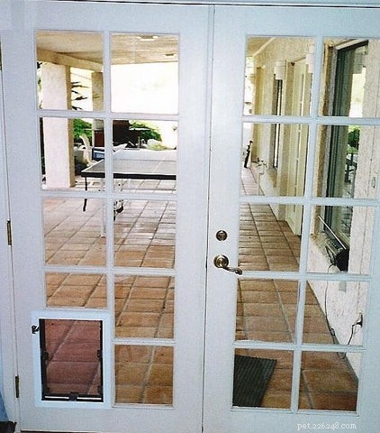 Top 2021 Cat Doors: Expert Picks for Your Feline Companion