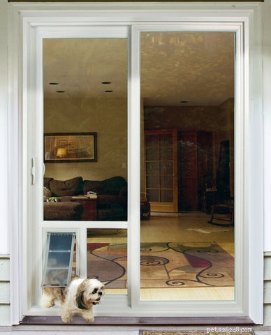 Top 2021 Cat Doors: Expert Picks for Your Feline Companion