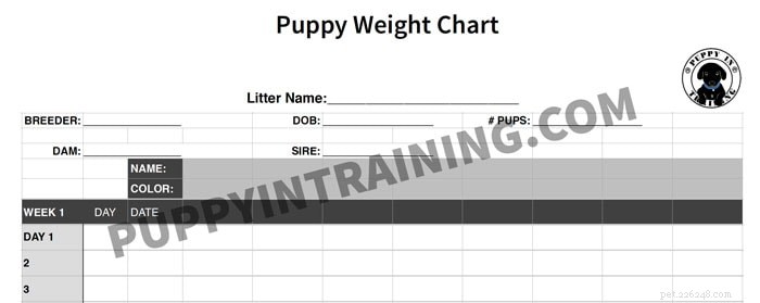 Newborn Puppy Weight Chart: Daily Gain Targets & Health Indicators