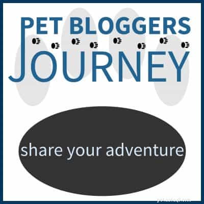 Join the Pet Blogging Journey: Share Your Adventure