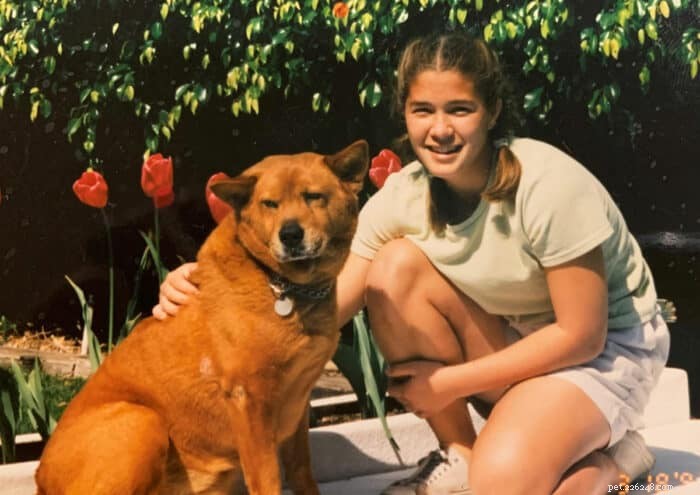 100+ Golden Retriever Names: Find the Ideal Puppy Name