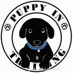 Pet Bloggers Journey 2021: Mastering Pet Blogging