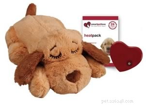 Top 2021 Puppy Chew Toys: Expert‑Recommended Picks for Safe, Long‑Lasting Fun