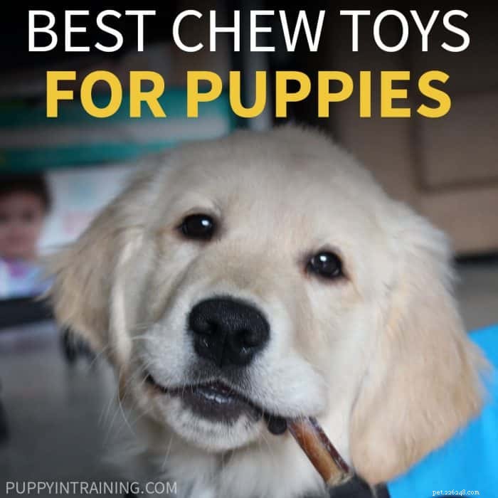 Top 2021 Puppy Chew Toys: Expert‑Recommended Picks for Safe, Long‑Lasting Fun