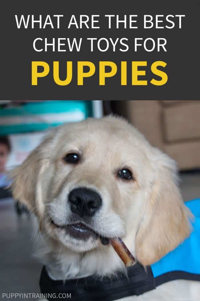 Top 2021 Puppy Chew Toys: Expert‑Recommended Picks for Safe, Long‑Lasting Fun
