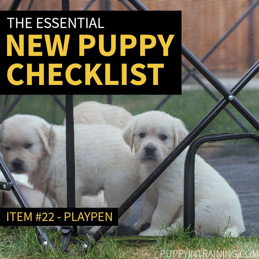 The Ultimate New Puppy Checklist 2024: Everything You Need Before Bringing Your Furry Friend Home