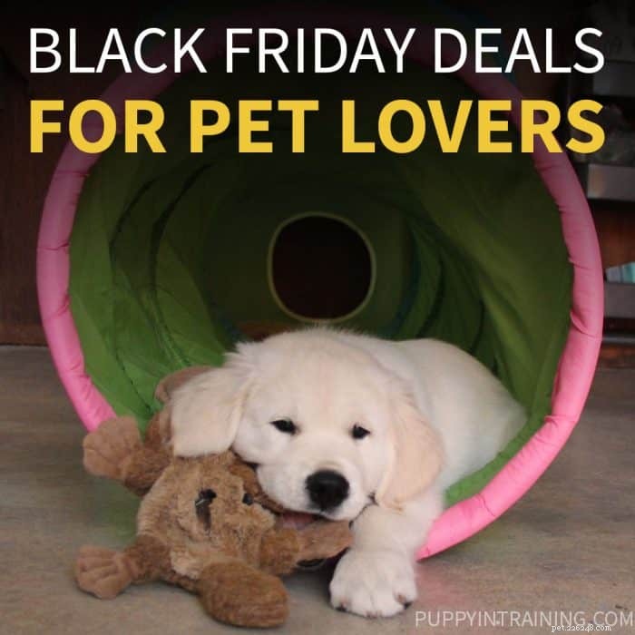 Top Black Friday Pet Deals 2021 – Save on Essentials for Your Furry Friends