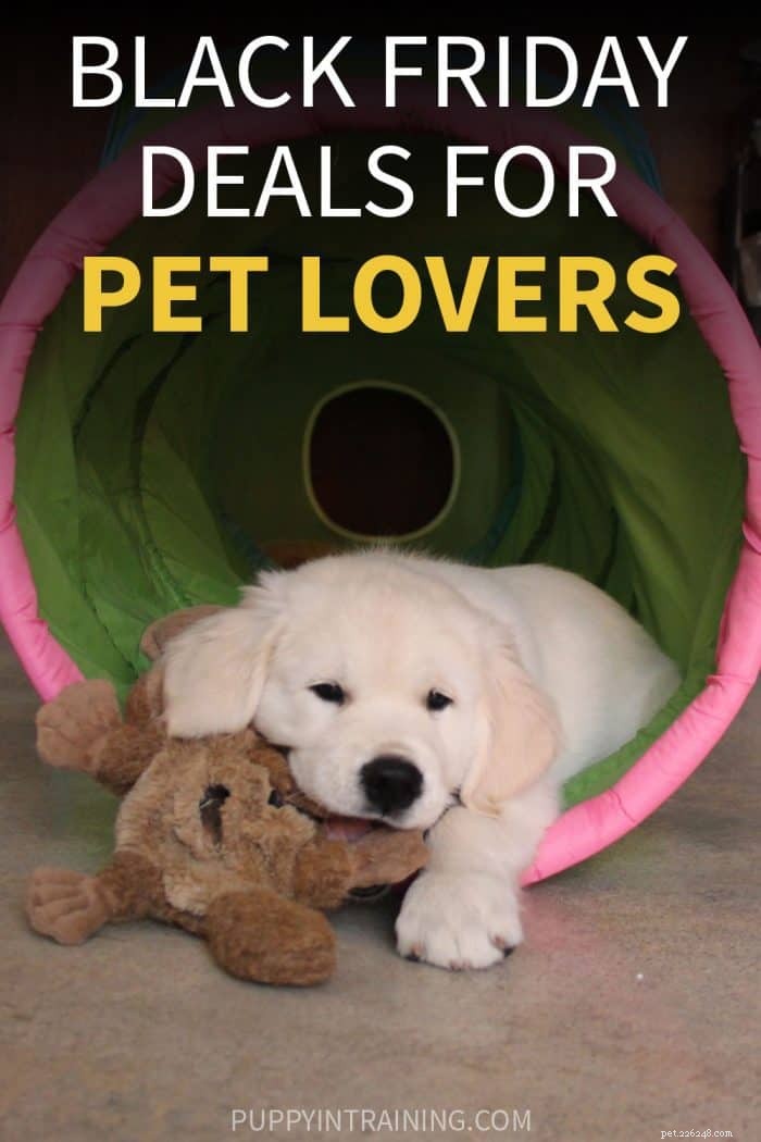 Top Black Friday Pet Deals 2021 – Save on Essentials for Your Furry Friends