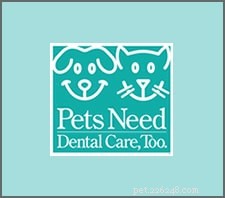 Discover the Importance of Canine Dental Health: Key Insights You Might Have Missed