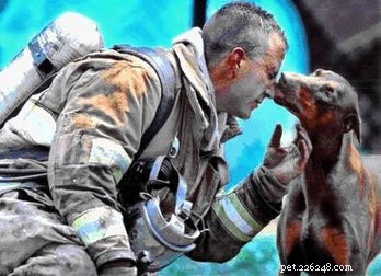 Essential Pet Evacuation Safety Tips for Wildfire Preparedness