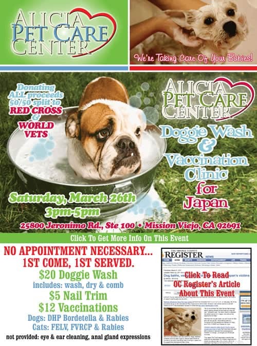 Dog Grooming for a Cause: Help Japan Earthquake Victims