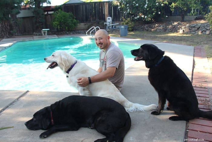 Why I Won t Shave My Dog: A Personal Journey Through Hair Loss and Pet Care