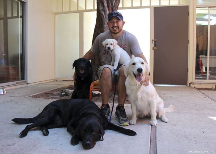 Word(less) Wednesday: Discover the Meaning of  Ohana  with Ohana Puppies