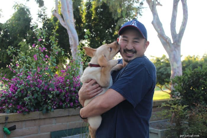 Unexpected Challenges at Service Dog Graduations