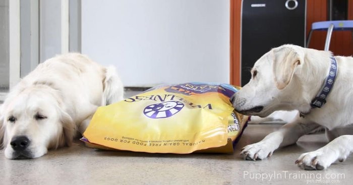 Switching Your Dog to Wellness Grain‑Free: A Complete Guide to the New Complete Health Line