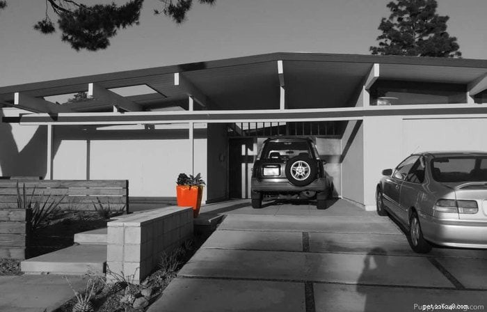 Elevate Your Dog’s Comfort with a Mid‑Century Modern Eichler Dog House