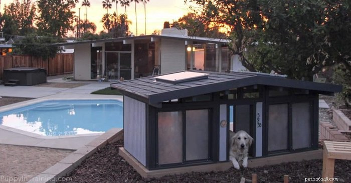 Elevate Your Dog’s Comfort with a Mid‑Century Modern Eichler Dog House
