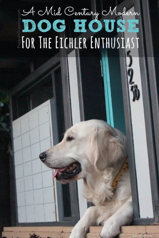 Elevate Your Dog’s Comfort with a Mid‑Century Modern Eichler Dog House