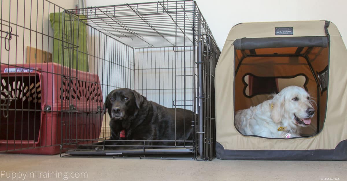 Choosing the Best Dog Crate for Your Puppy: Expert Guidance