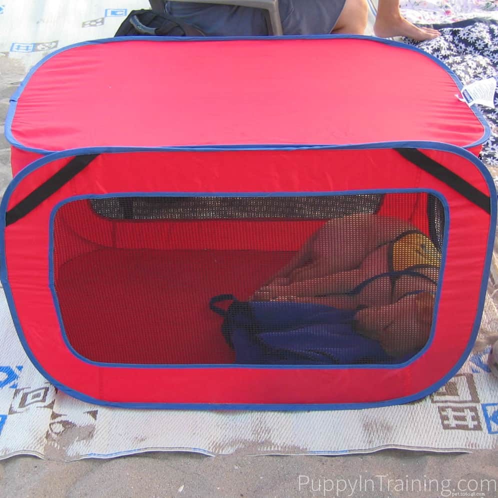 Choosing the Best Dog Crate for Your Puppy: Expert Guidance